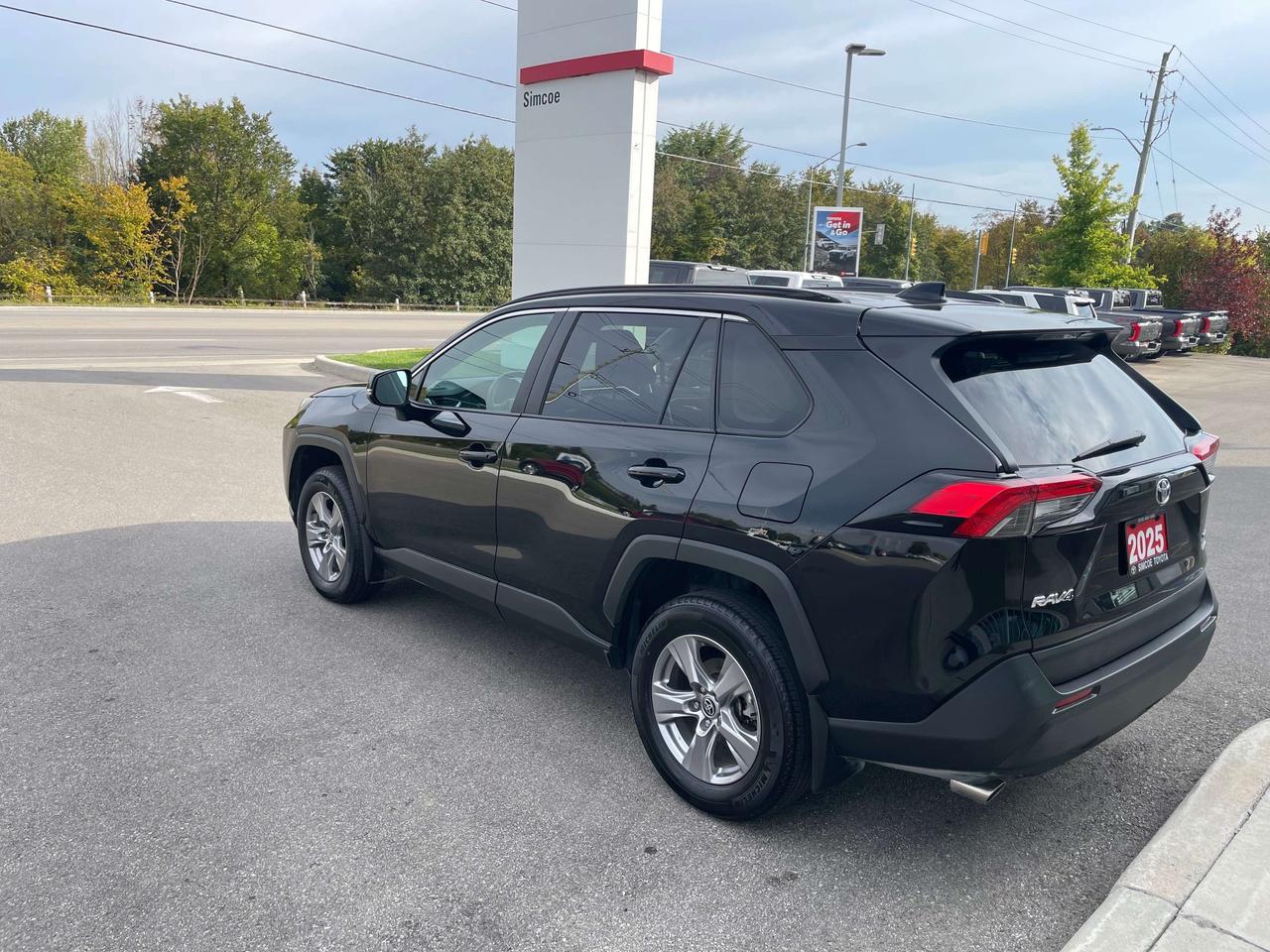 2025 Toyota RAV4 XLE AWD Photo