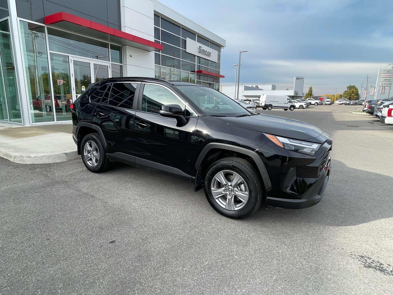 2025 Toyota RAV4 XLE AWD Photo