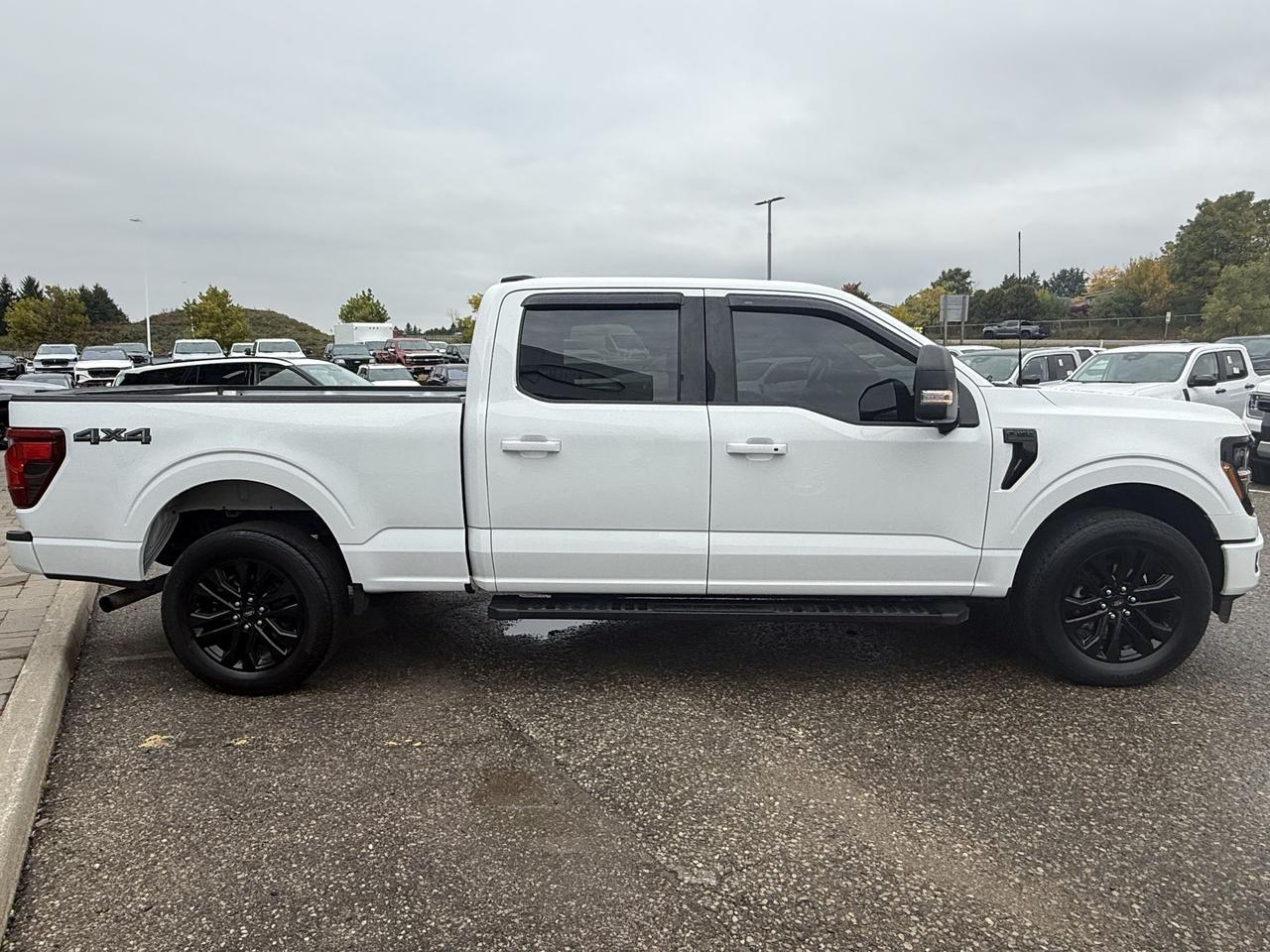 2024 Ford F-150 MAX TOW! 3.5L ECO! BLACK PACK! 20" RIMS, LEATHER! Photo2