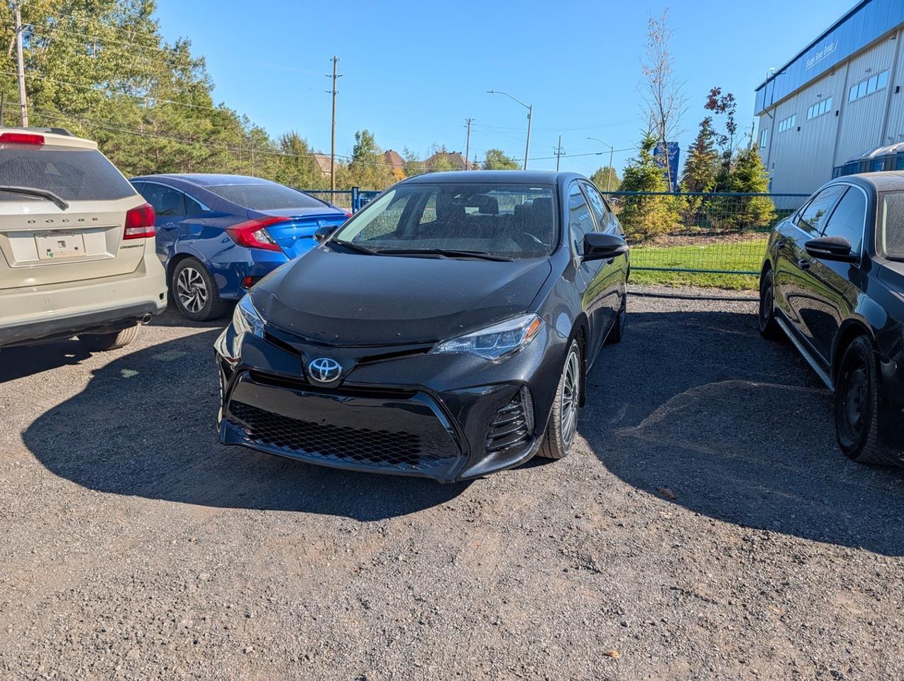 2017 Toyota Corolla LE Photo0