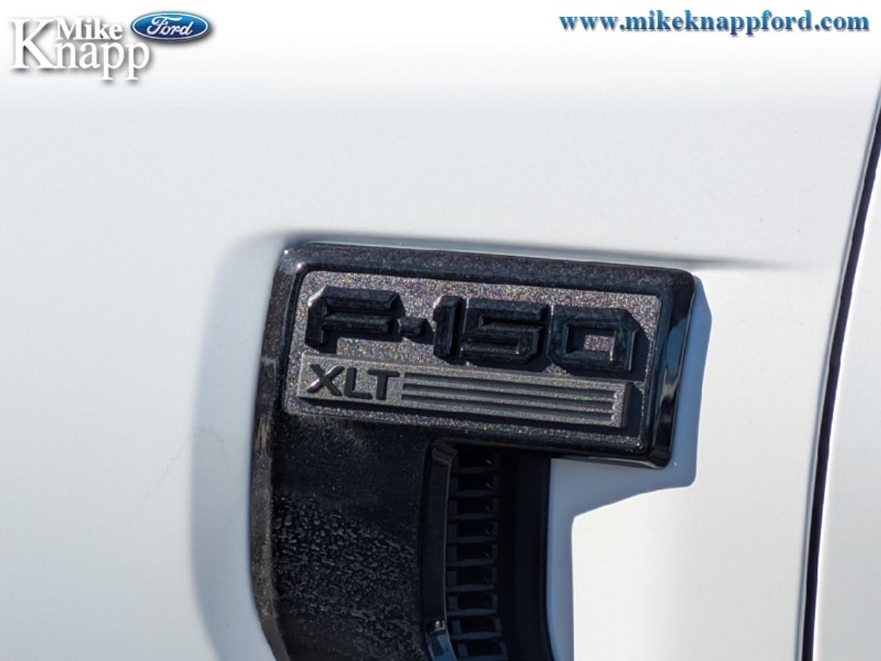 2026 Ford F-150 XLT Photo