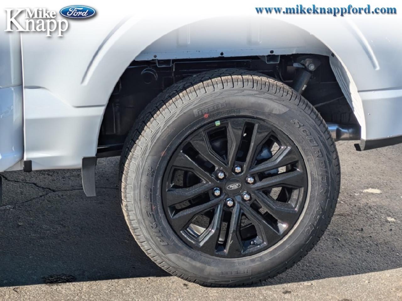 2026 Ford F-150 XLT Photo