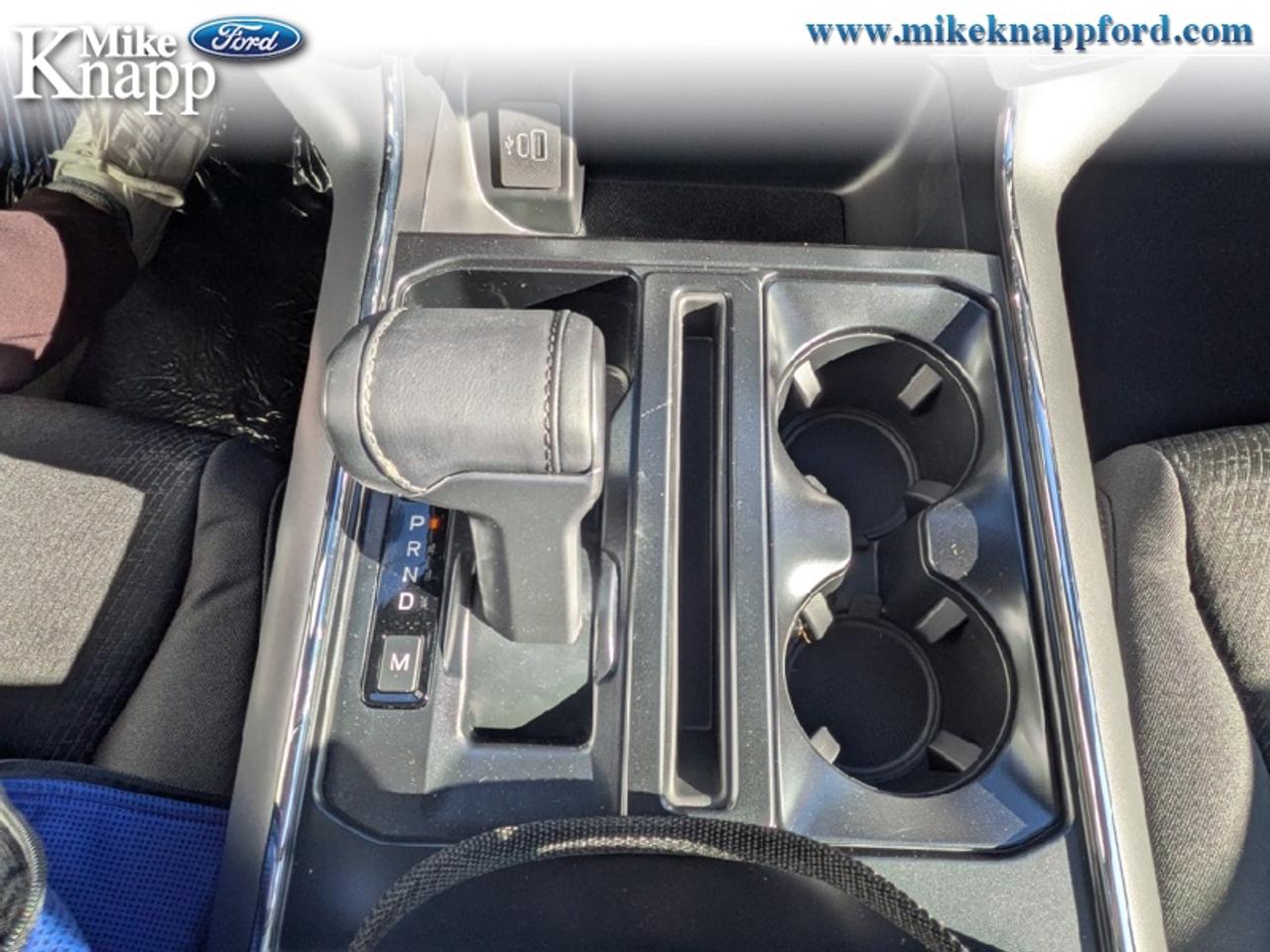 2026 Ford F-150 XLT Photo