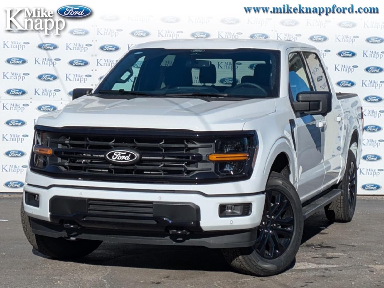 2026 Ford F-150 XLT Photo