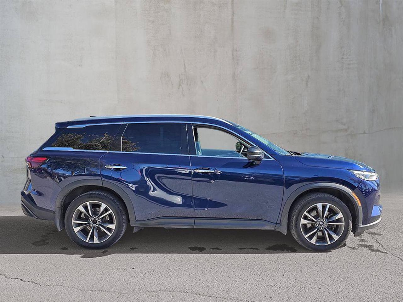 2025 Infiniti QX60 LUXE Photo
