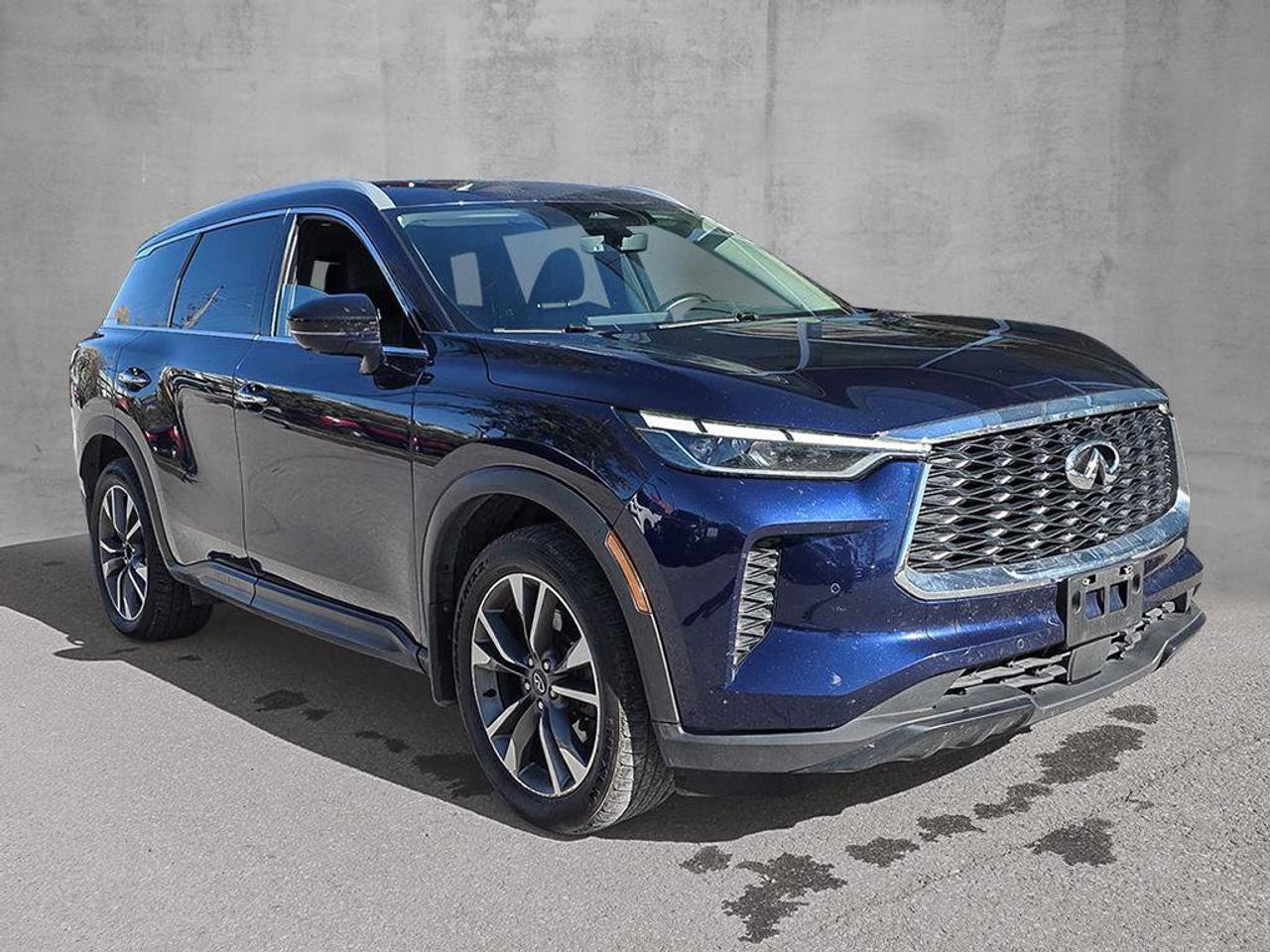 2025 Infiniti QX60 LUXE Photo