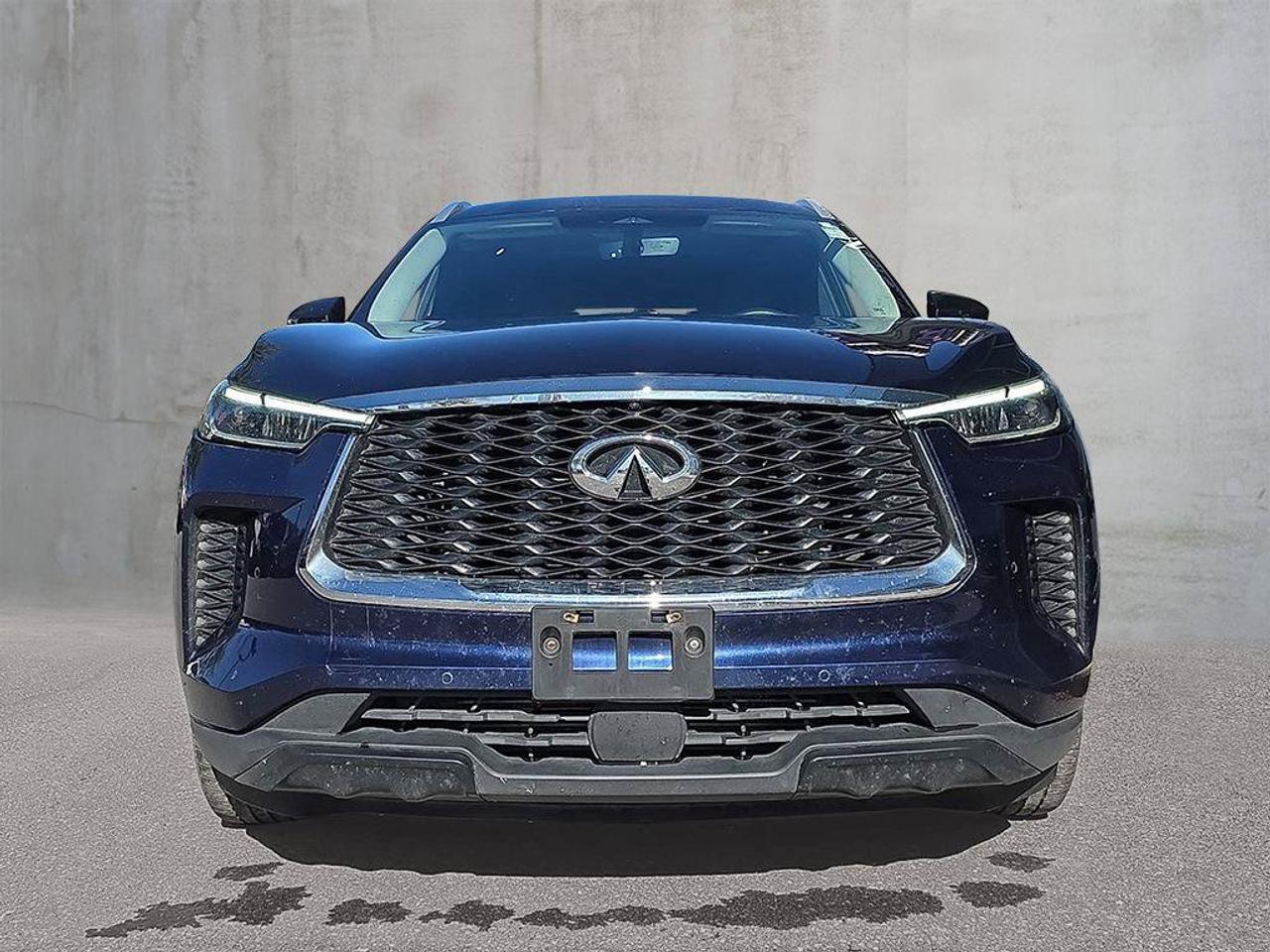 2025 Infiniti QX60 LUXE Photo