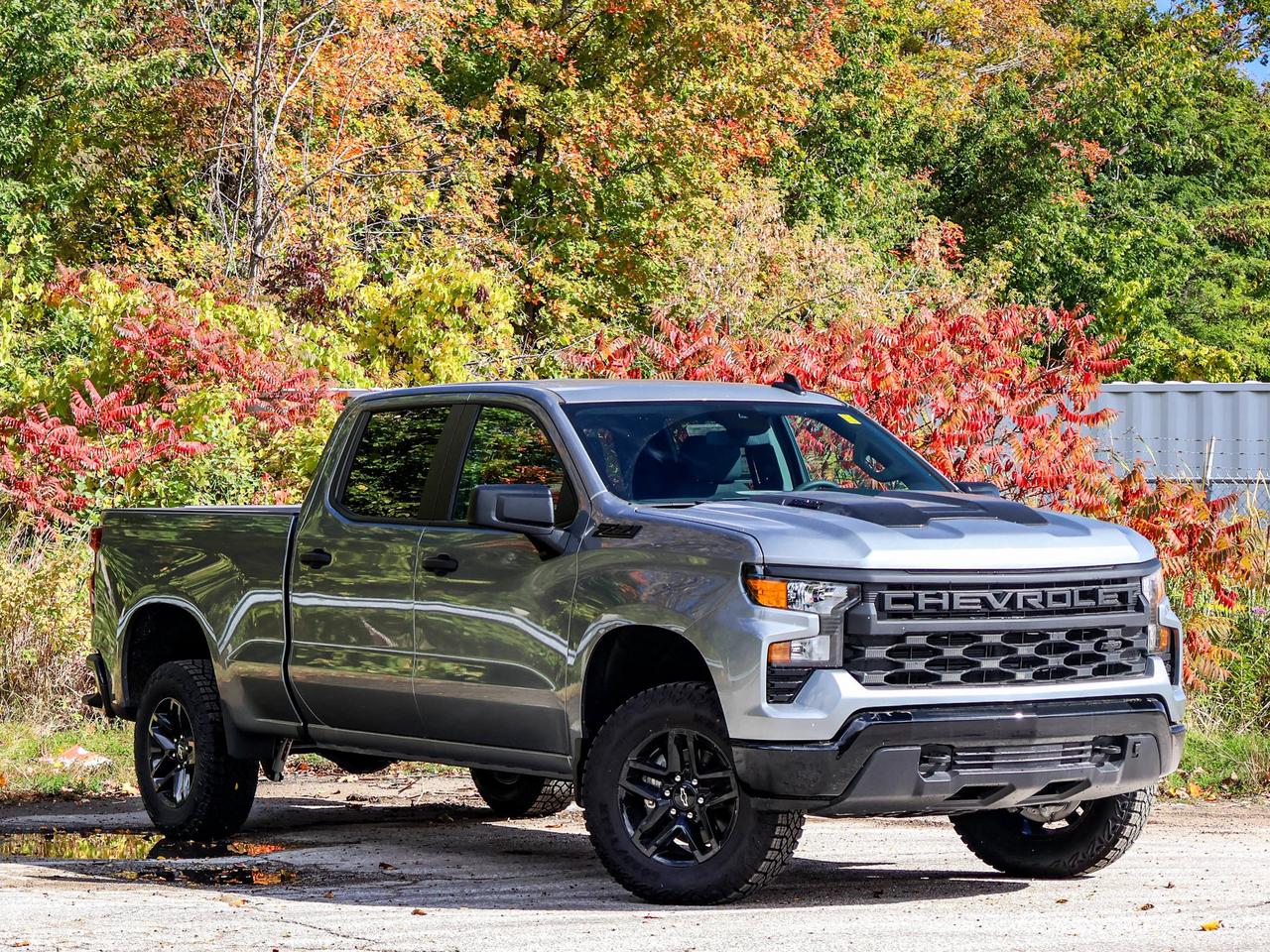 2026 Chevrolet Silverado 1500 Custom Trail Boss Photo1
