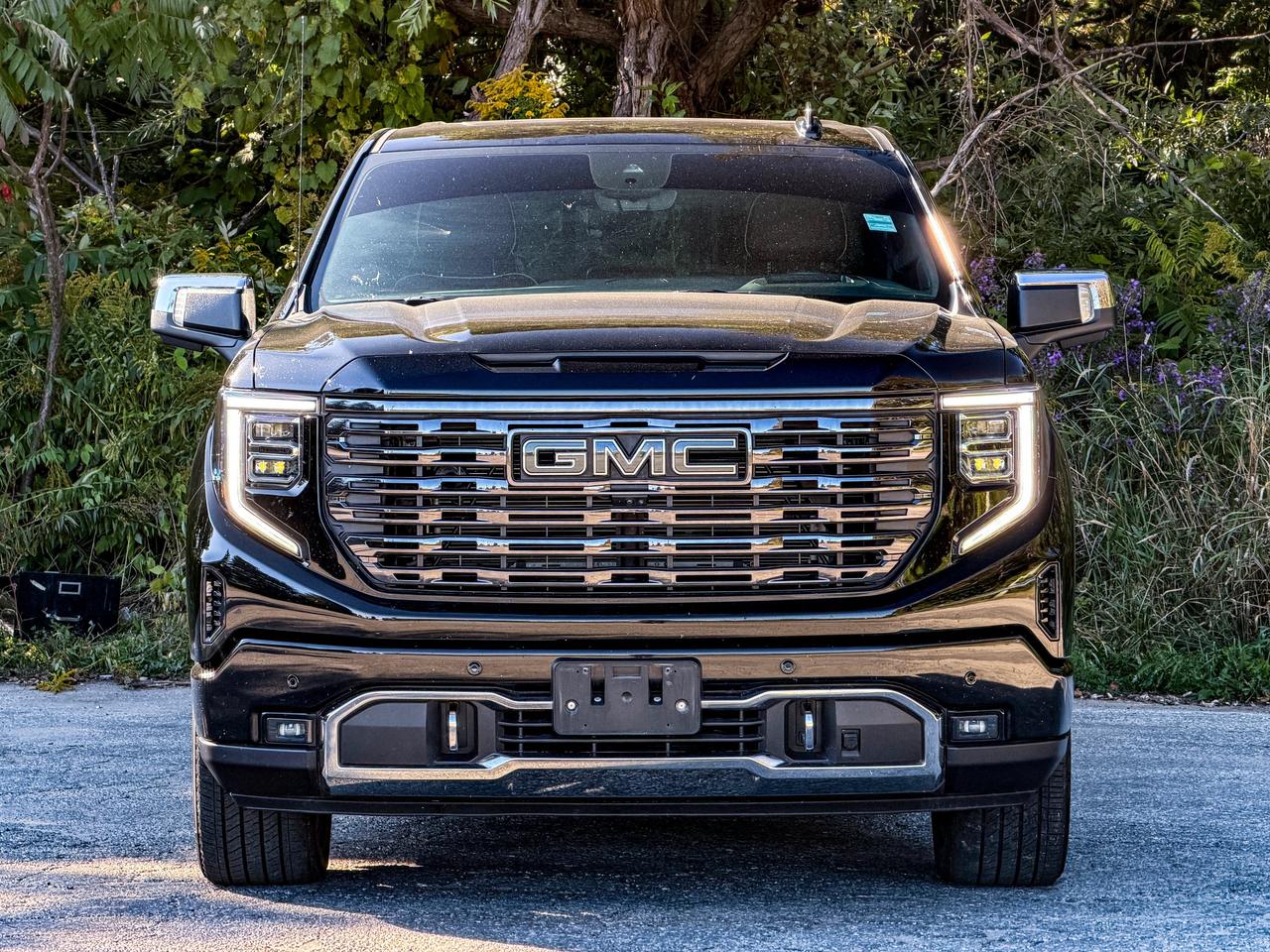 2025 GMC Sierra 1500 Denali Ultimate Photo