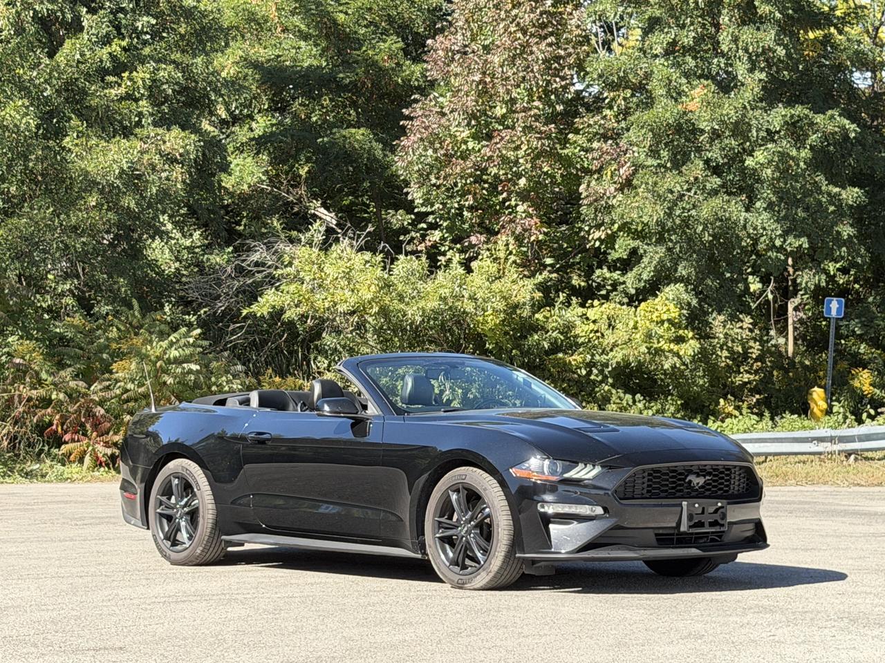 2019 Ford Mustang EcoBoost Premium Photo3