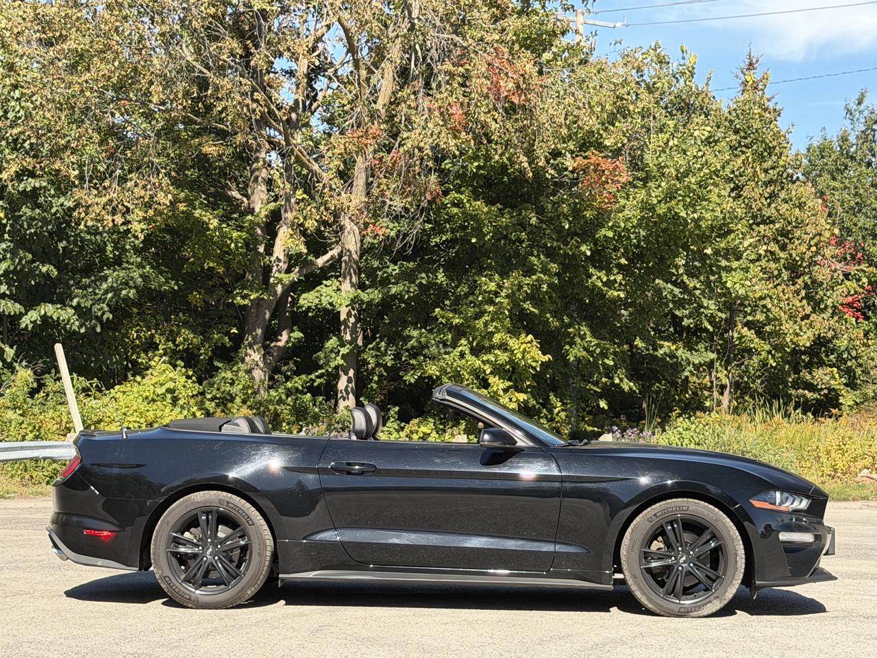 2019 Ford Mustang EcoBoost Premium Photo2