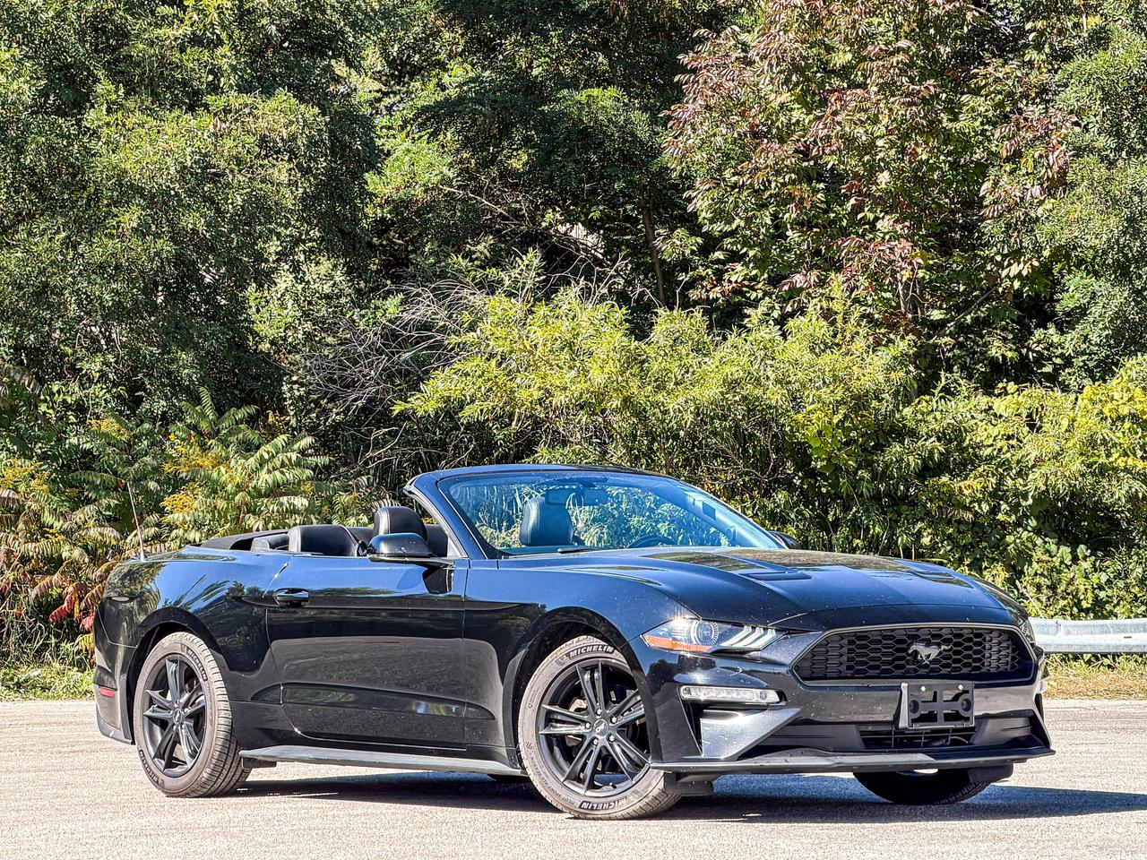 2019 Ford Mustang EcoBoost Premium Photo1