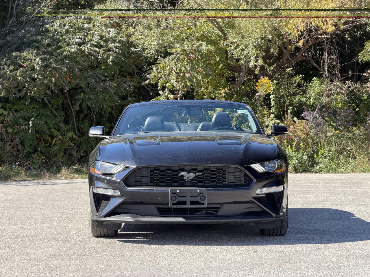 2019 Ford Mustang EcoBoost Premium Photo