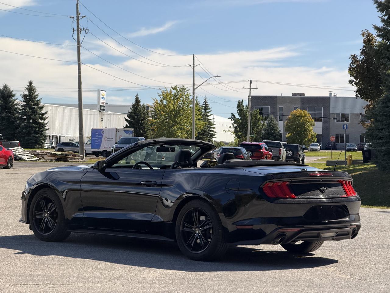 2019 Ford Mustang EcoBoost Premium Photo