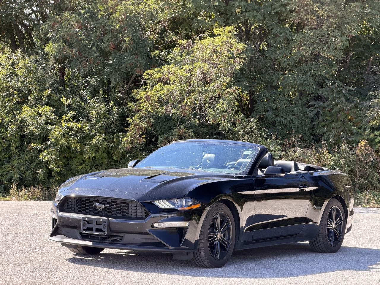 2019 Ford Mustang EcoBoost Premium Photo