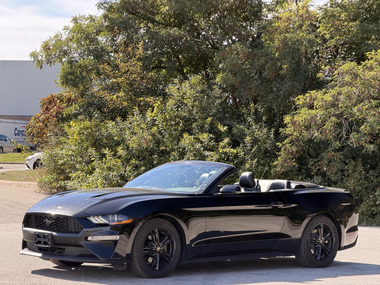 2019 Ford Mustang EcoBoost Premium Photo