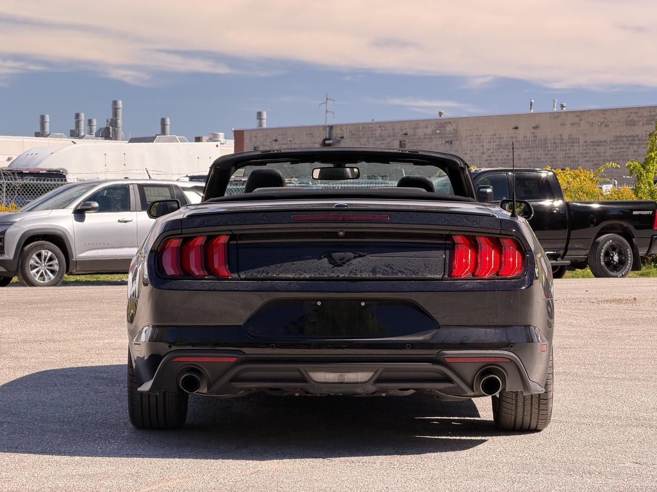 2019 Ford Mustang EcoBoost Premium Photo