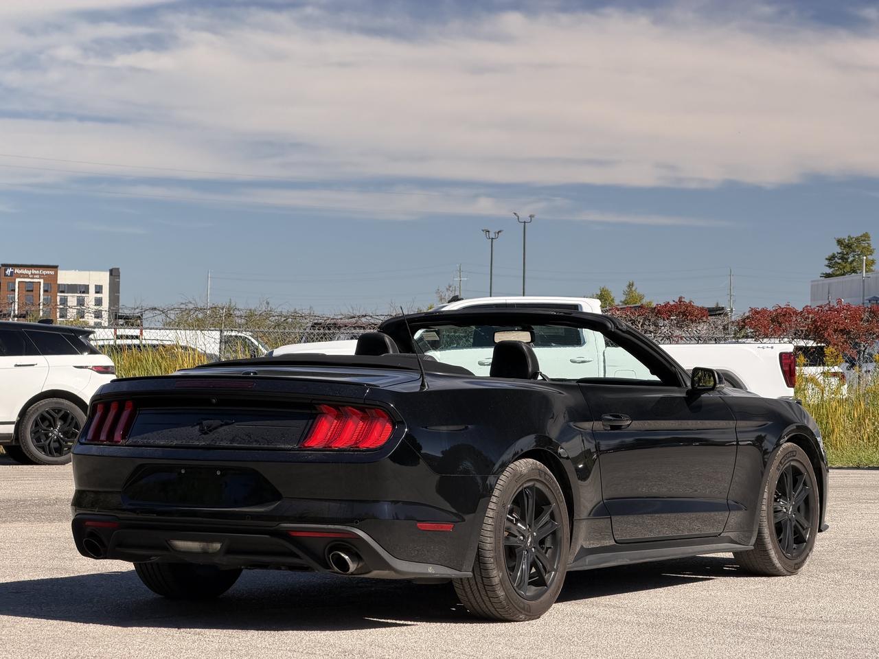 2019 Ford Mustang EcoBoost Premium Photo