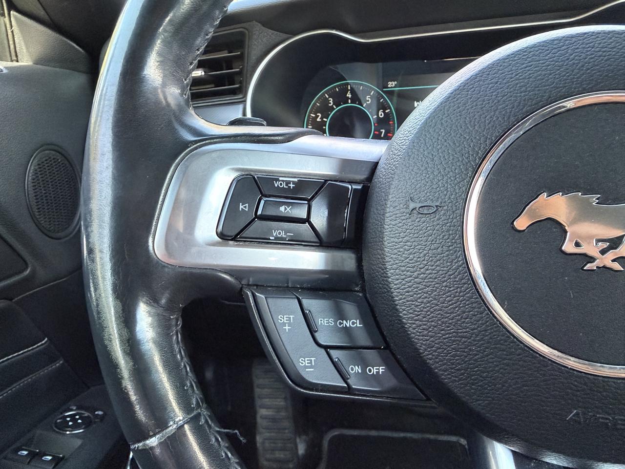 2019 Ford Mustang EcoBoost Premium Photo
