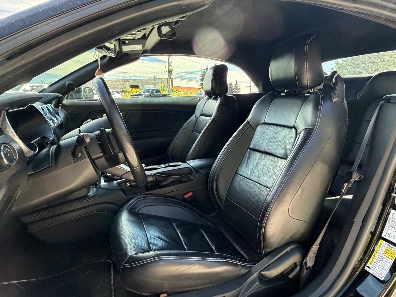 2019 Ford Mustang EcoBoost Premium Photo