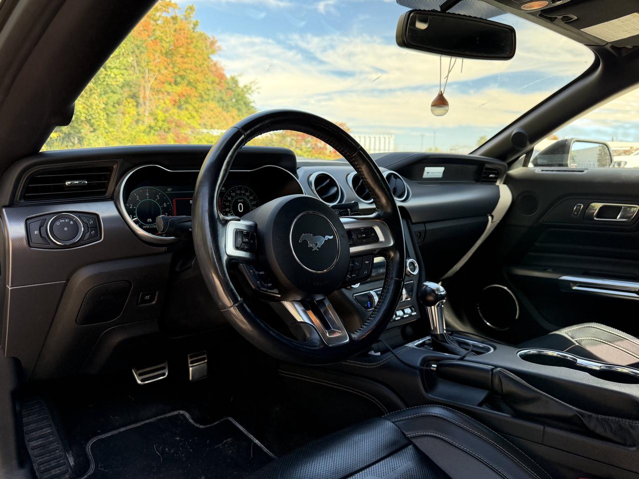 2019 Ford Mustang EcoBoost Premium Photo
