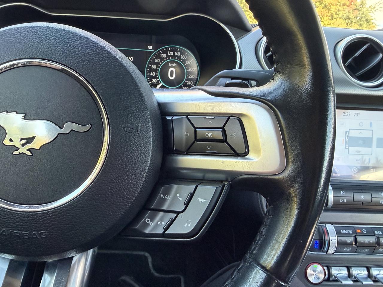 2019 Ford Mustang EcoBoost Premium Photo