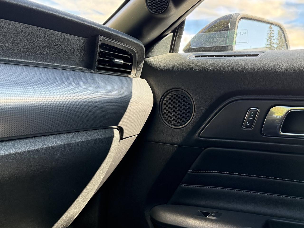 2019 Ford Mustang EcoBoost Premium Photo