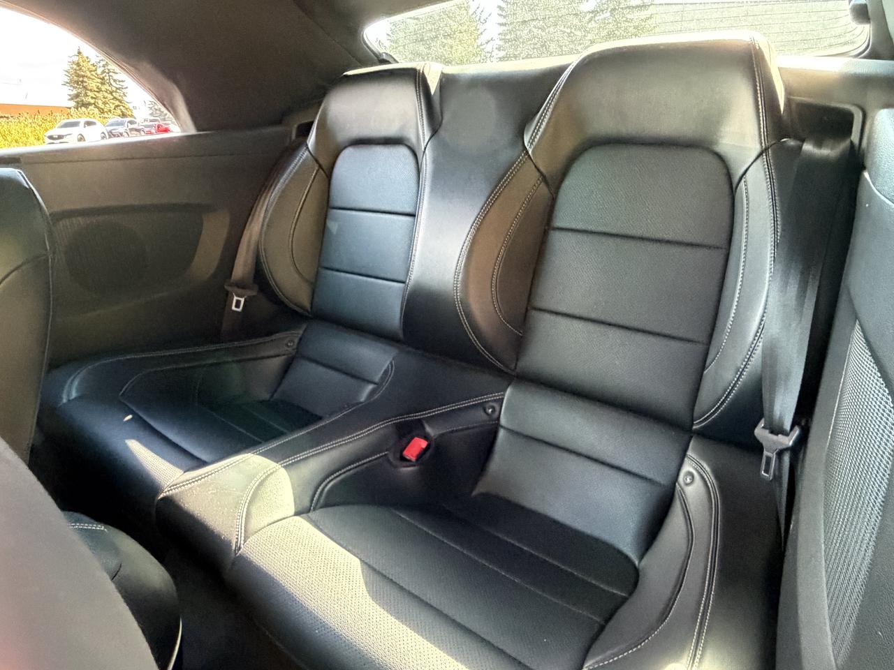 2019 Ford Mustang EcoBoost Premium Photo