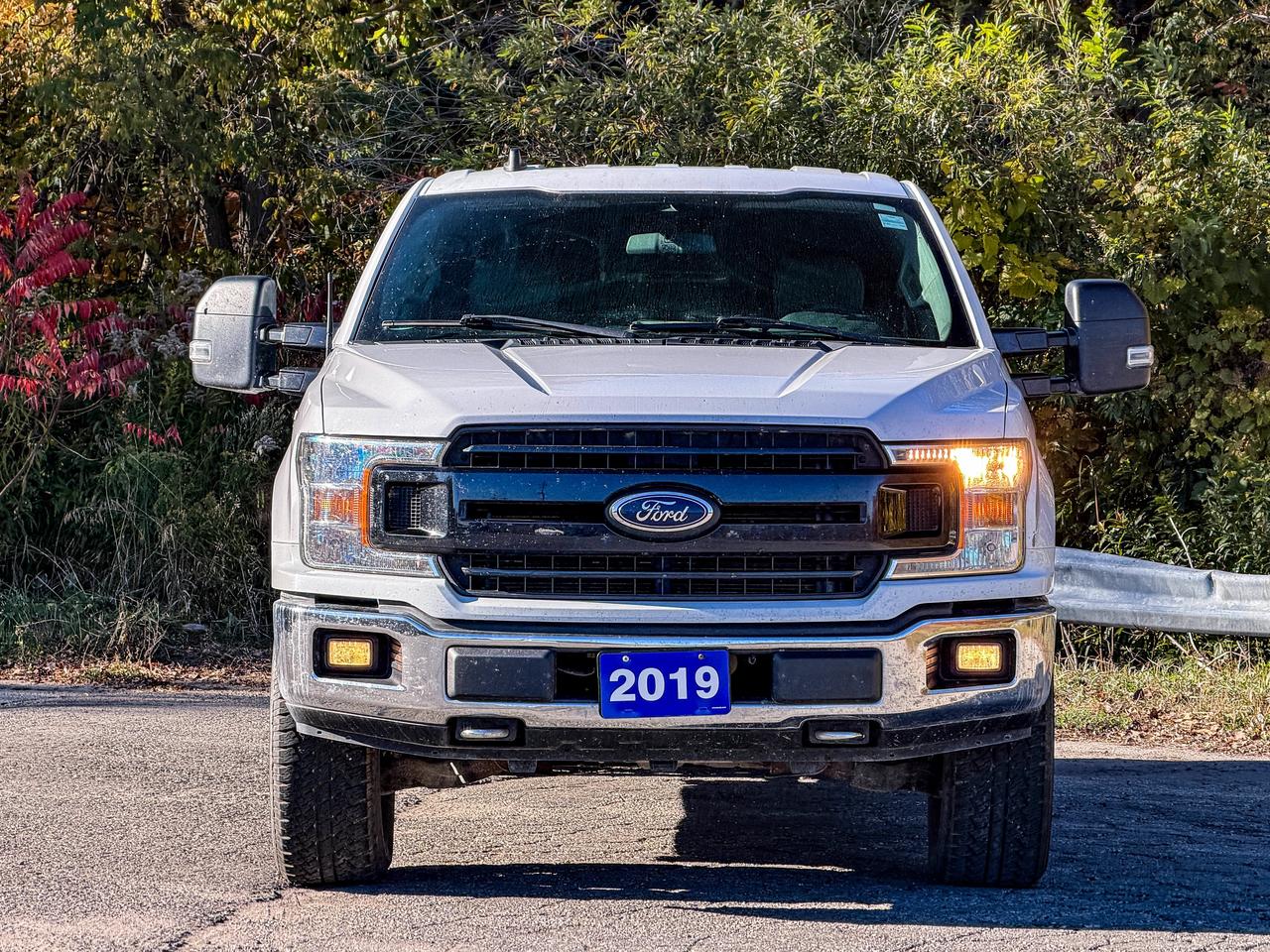 2019 Ford F-150 XLT Photo4