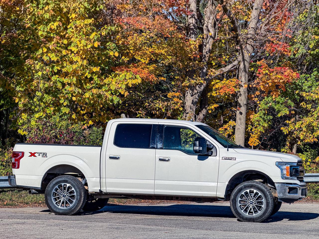 2019 Ford F-150 XLT Photo