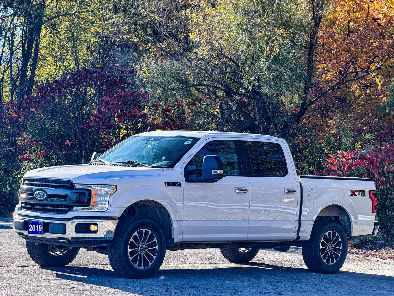 2019 Ford F-150 XLT Photo