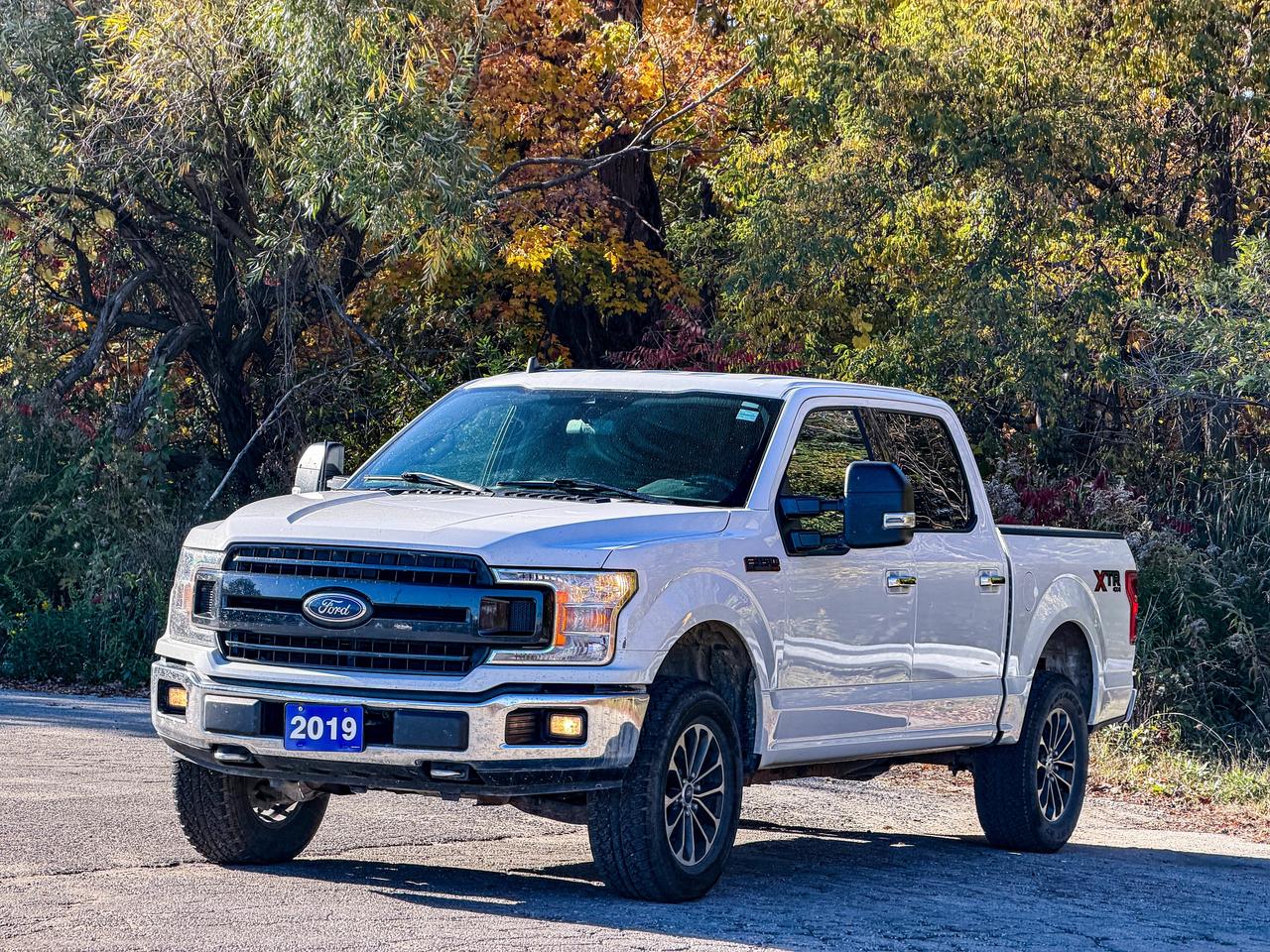 2019 Ford F-150 XLT Photo