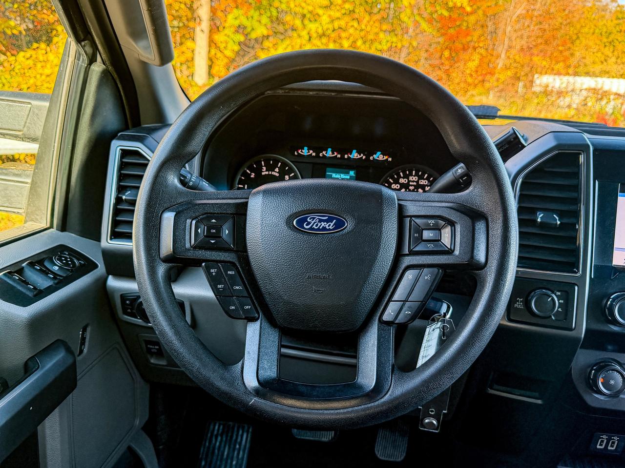 2019 Ford F-150 XLT Photo