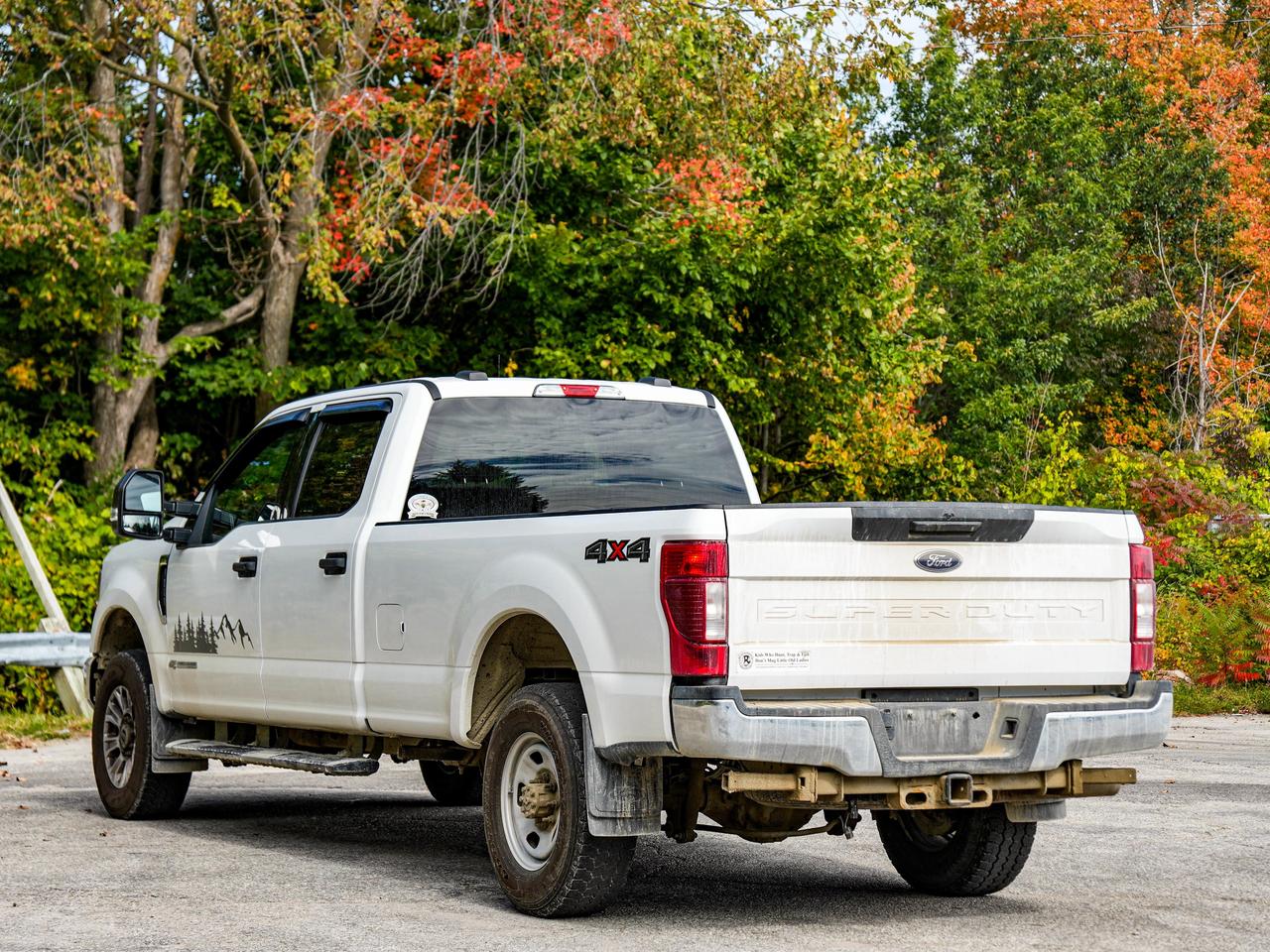 2020 Ford SUPER DUTY F-350 SRW XLT Photo