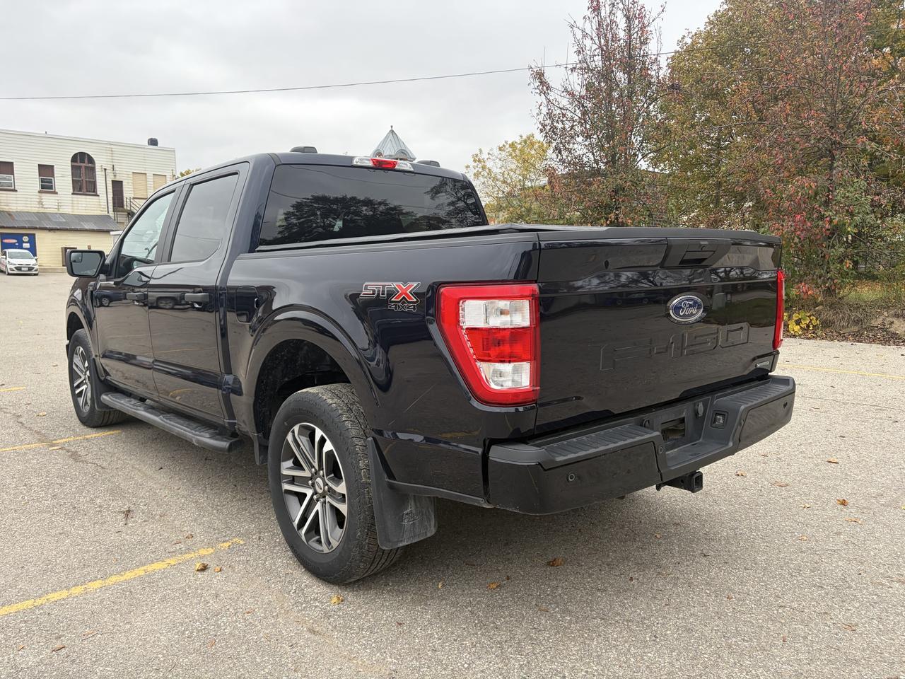 2023 Ford F-150 STX 4WD SuperCrew 5.5' Box Photo4