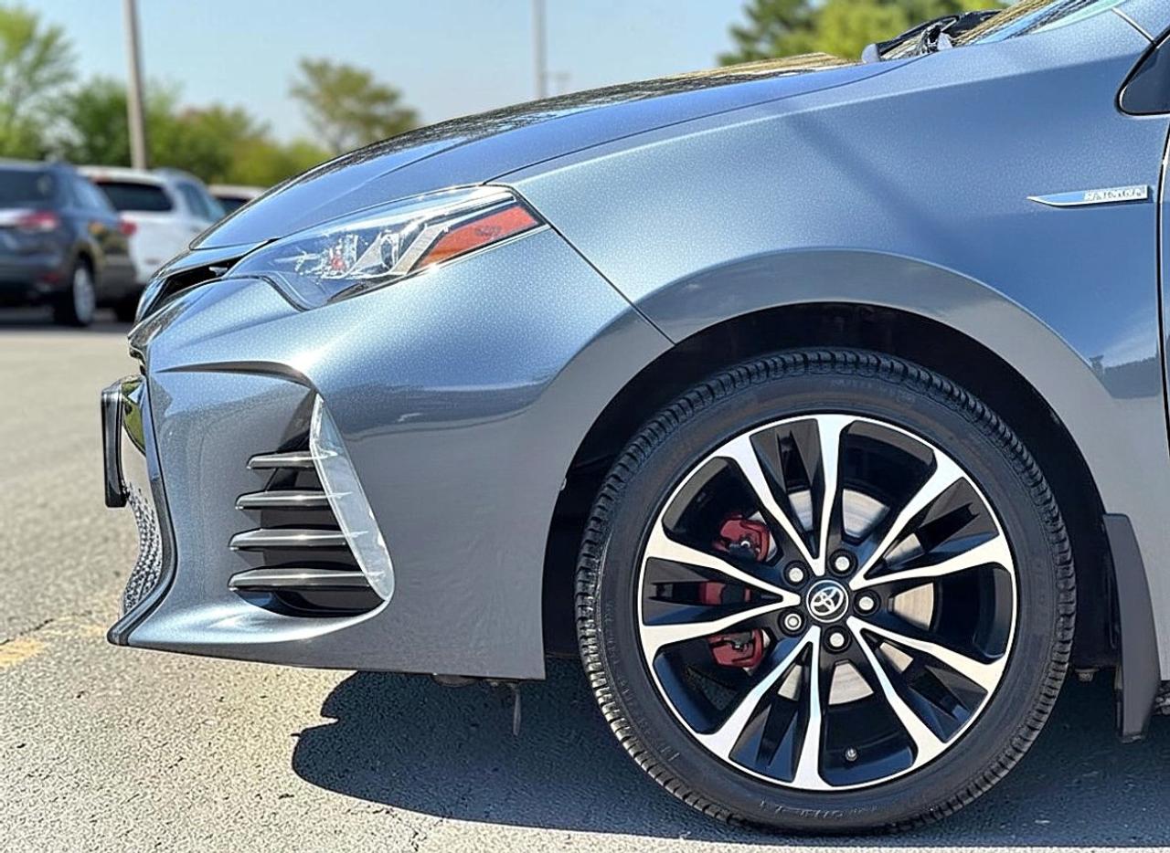 2019 Toyota Corolla XSE Photo
