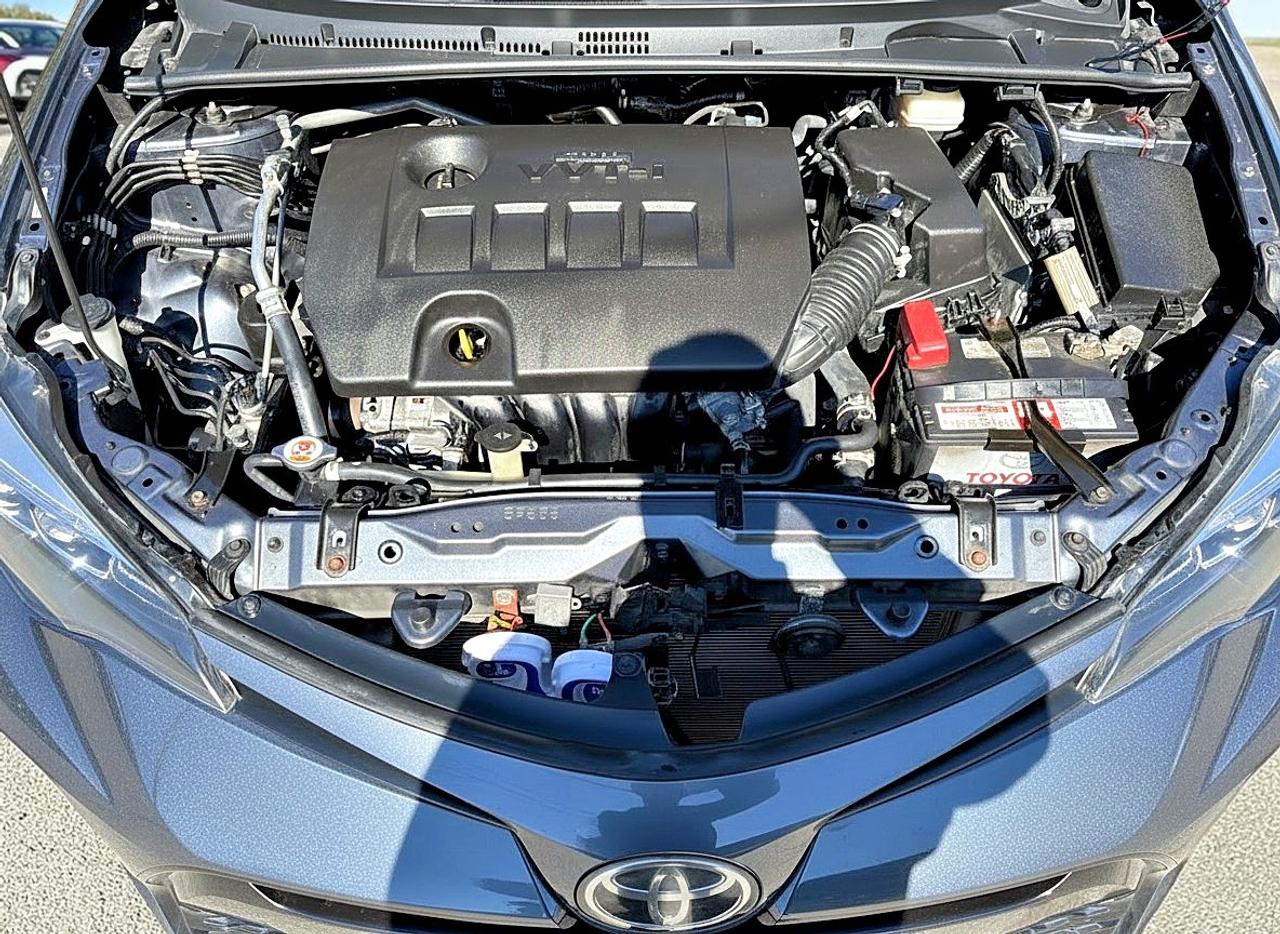 2019 Toyota Corolla XSE Photo