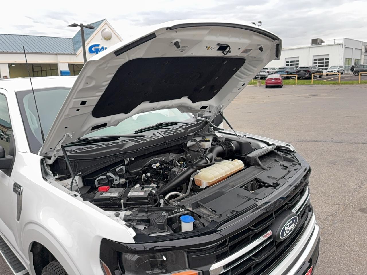 2024 Ford F-150 XLT 4WD SuperCrew 2.7L 6cyl Gas  5.5' Box Photo