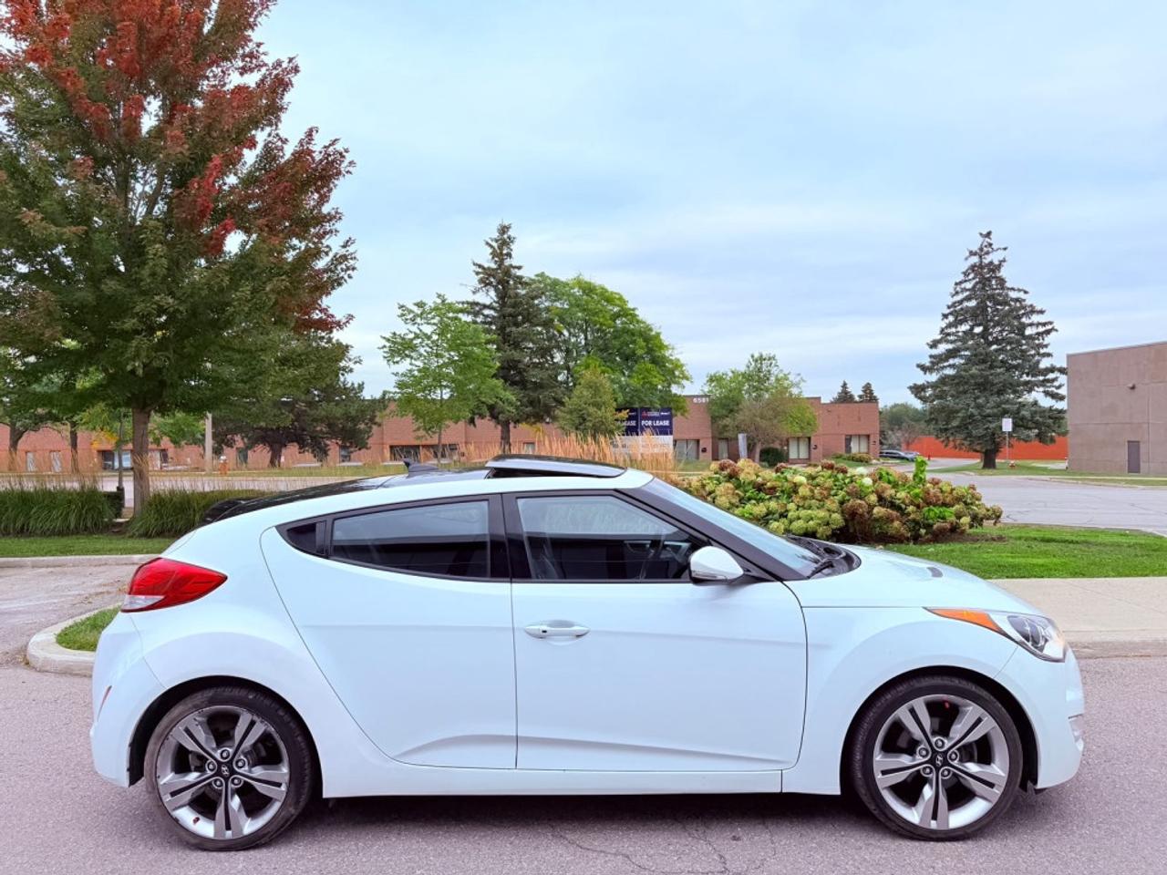 2015 Hyundai Veloster 3dr Cpe Auto w/Tech Photo
