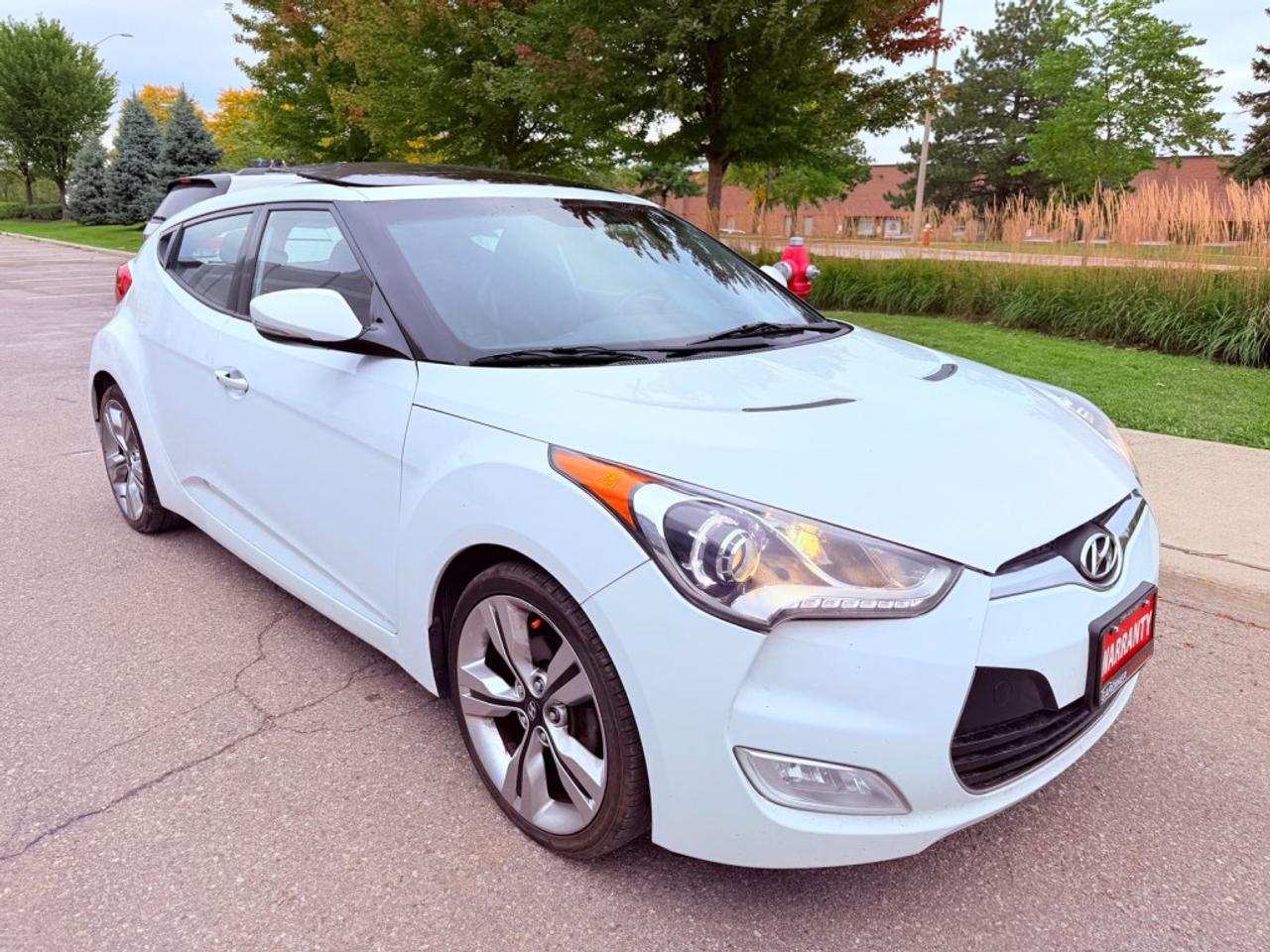 2015 Hyundai Veloster 3dr Cpe Auto w/Tech Photo
