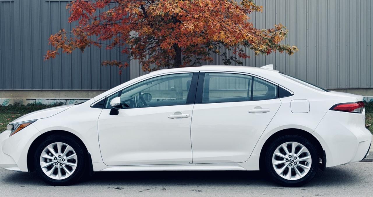 2020 Toyota Corolla XLE FWD Photo4