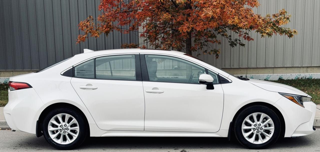 2020 Toyota Corolla XLE FWD Photo