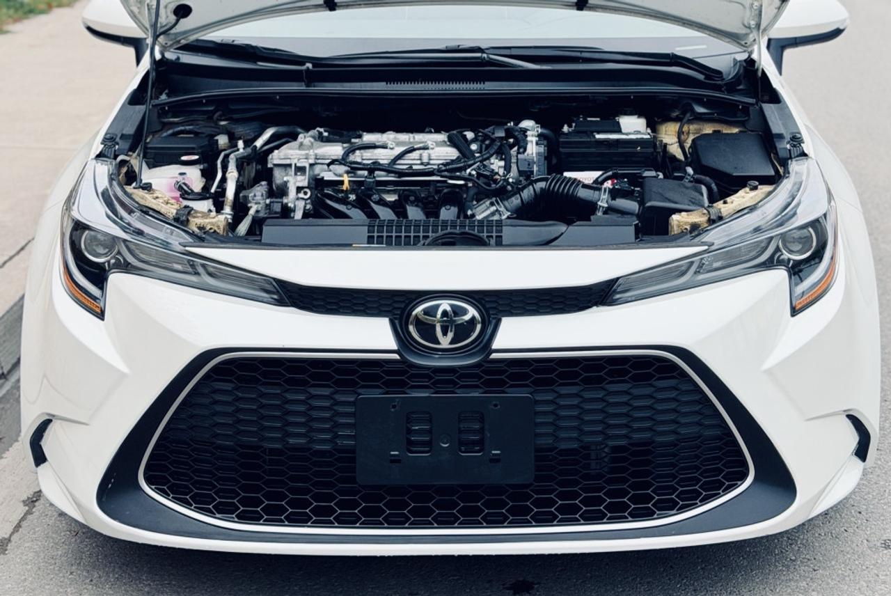 2020 Toyota Corolla XLE FWD Photo