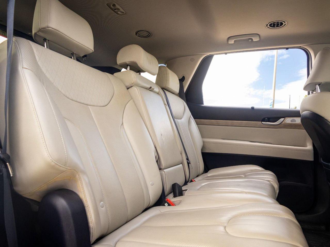 2020 Hyundai PALISADE LUXURY Photo