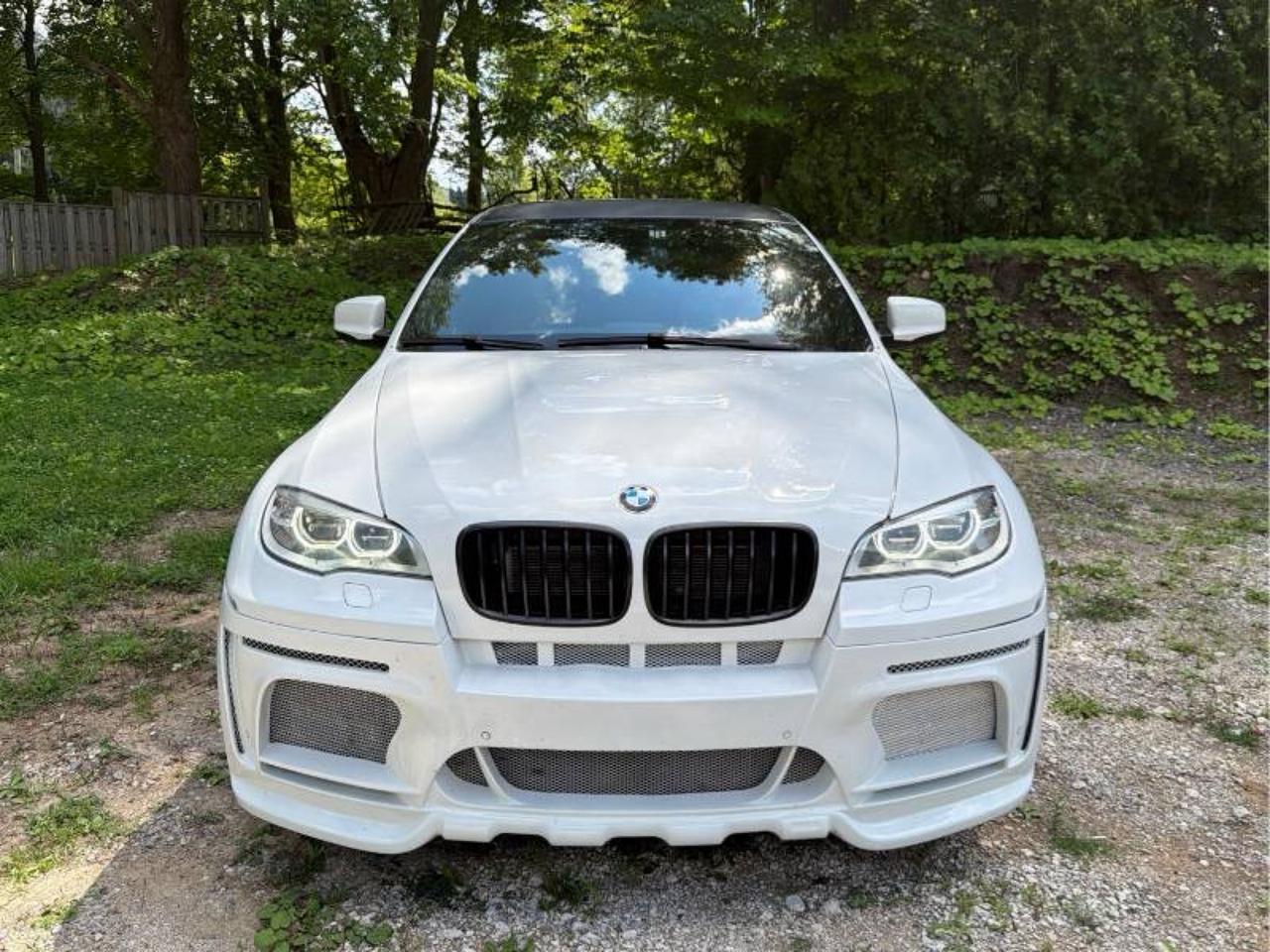 2014 BMW X6 M  Photo