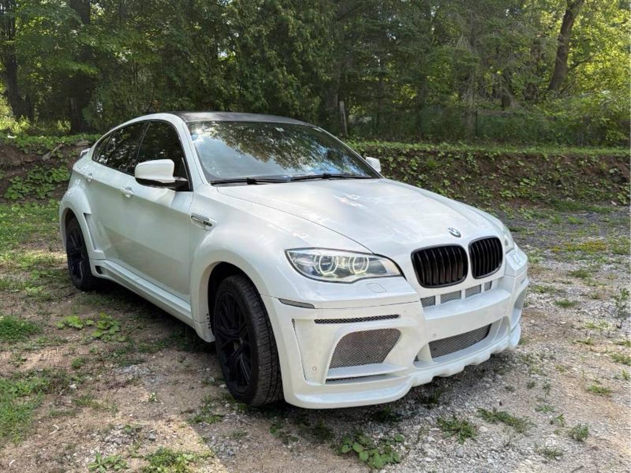 2014 BMW X6 M  Photo2
