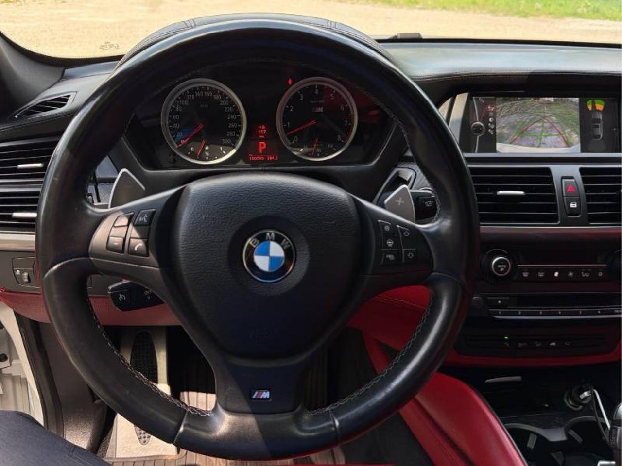 2014 BMW X6 M  - Photo #13