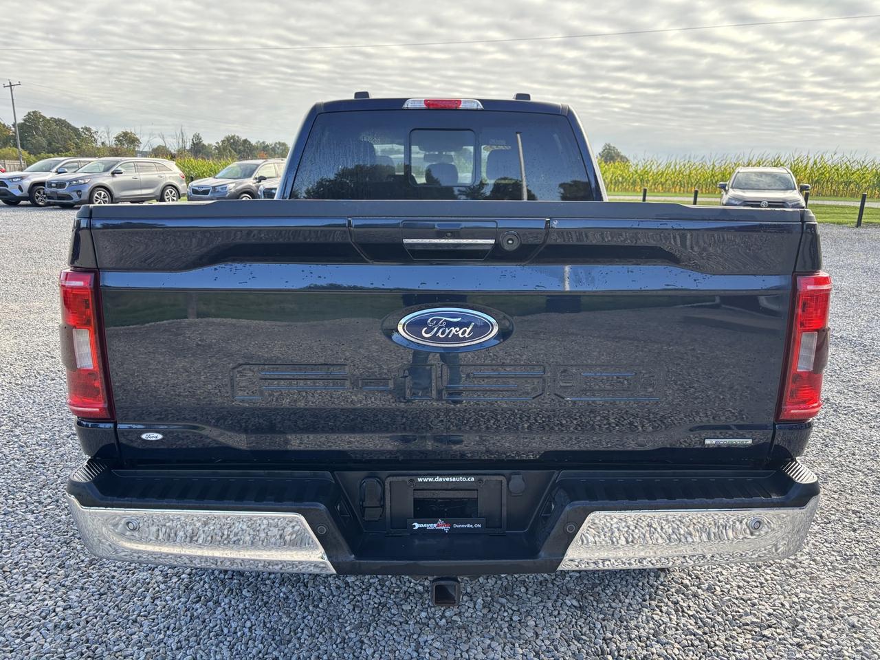 2022 Ford F-150 XLT Photo