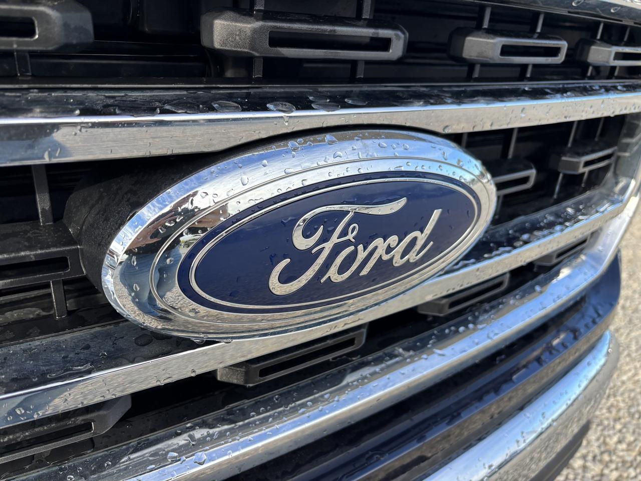 2022 Ford F-150 XLT Photo