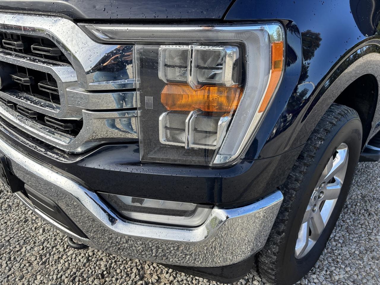 2022 Ford F-150 XLT Photo